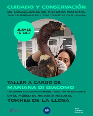 Taller: Cuidado y conservación de colecciones de Historia Natural