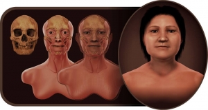 Cr&aacute;neo 3D