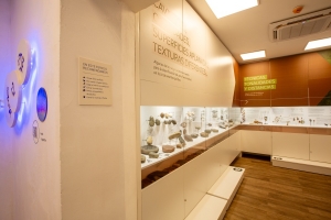 Museo Ind&iacute;gena