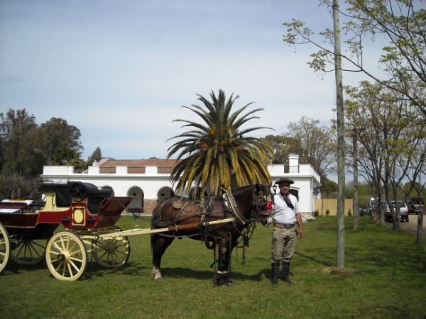Museo del Dr. El&iacute;as Regules
