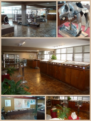Sala de Exposici&oacute;n del Museo Geominero
